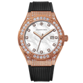Alexander Ferros 2251FR-19 Watches