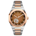 Đồng hồ Alexander Ferros 6111R-01