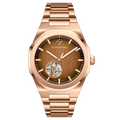 Đồng hồ Alexander Ferros 6111R-01