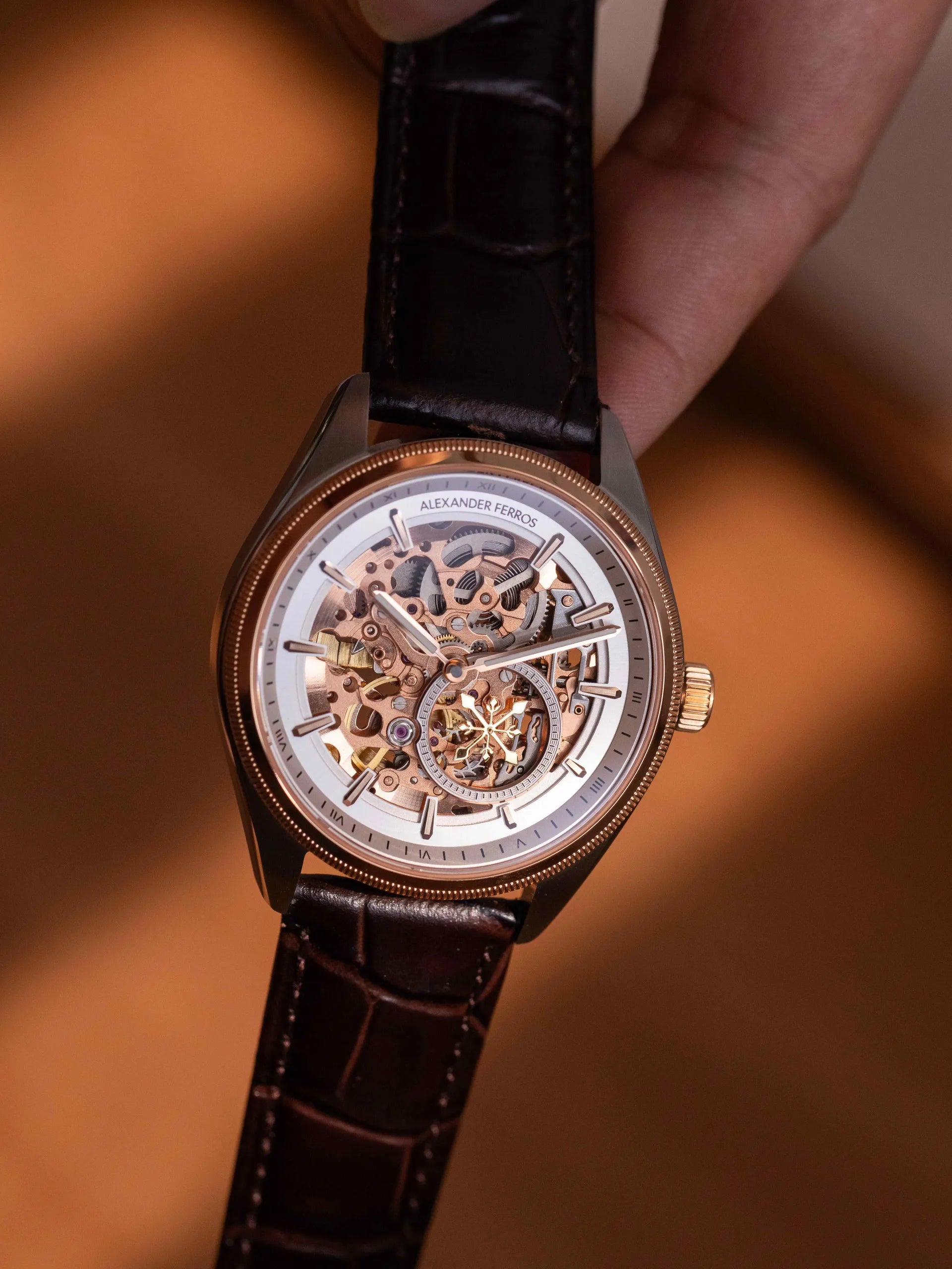Đồng hồ Alexander Ferros 6111R-01