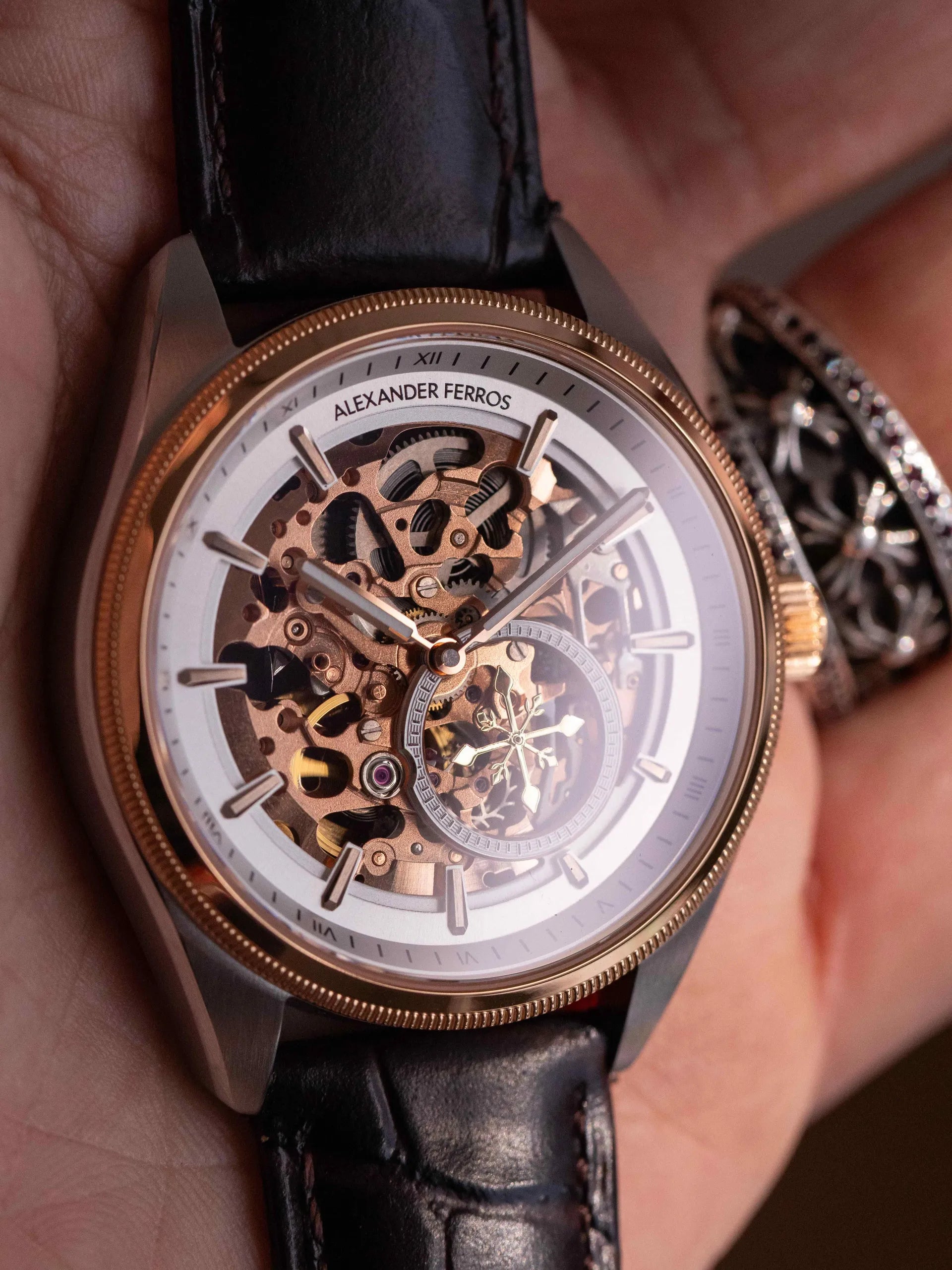 Đồng hồ Alexander Ferros 6111R-01