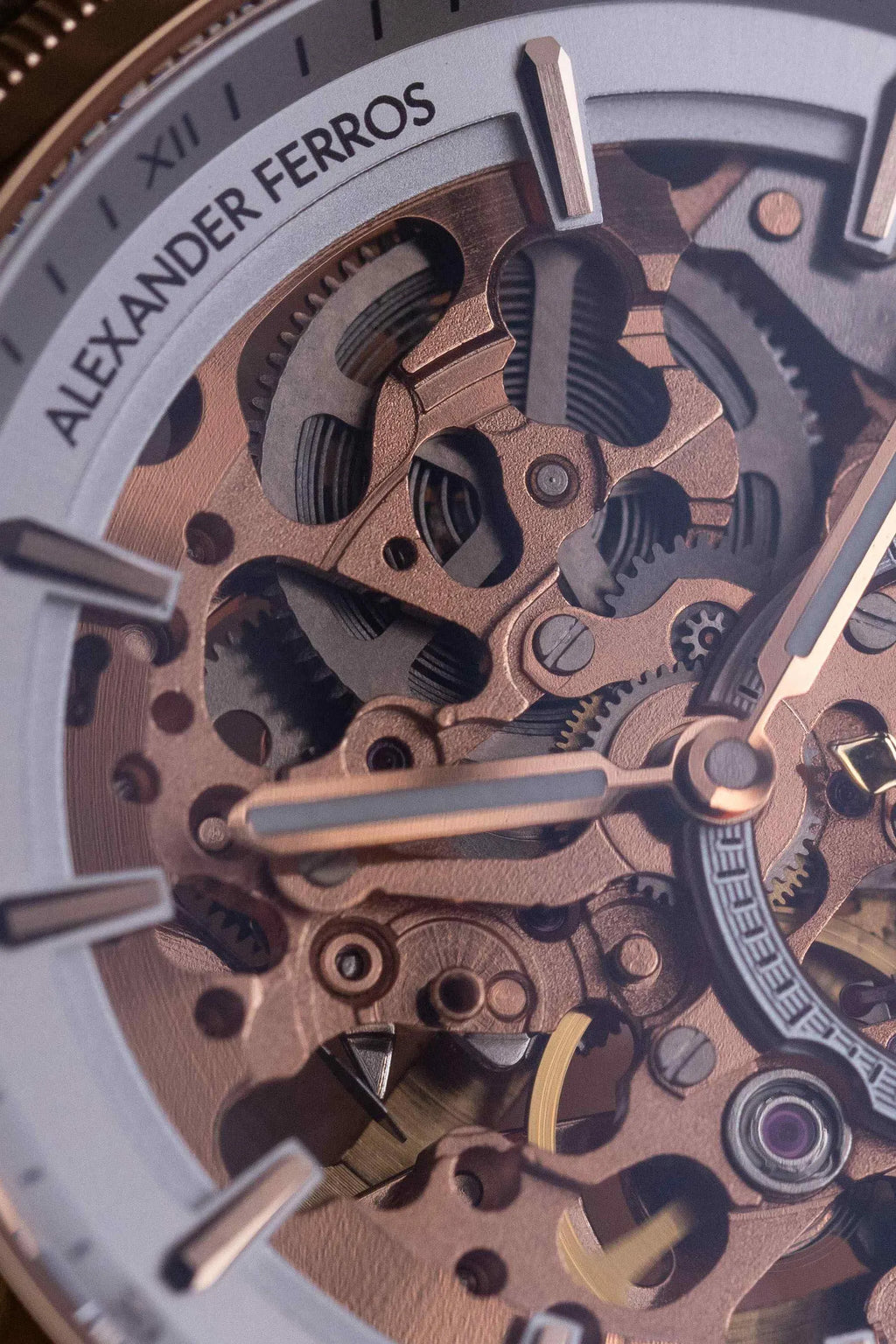 Đồng hồ Alexander Ferros 6111R-01